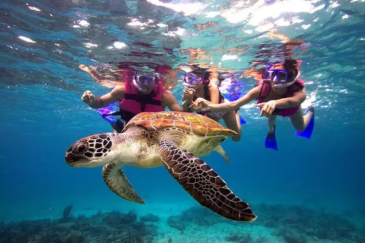 San Juan Guided Snorkeling Experience - With Transport 8am or 3pm - Primary Image