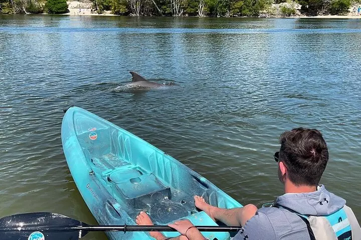 Wildlife Refuge Manatee, Dolphin & Mangrove Kayak or Paddleboarding...