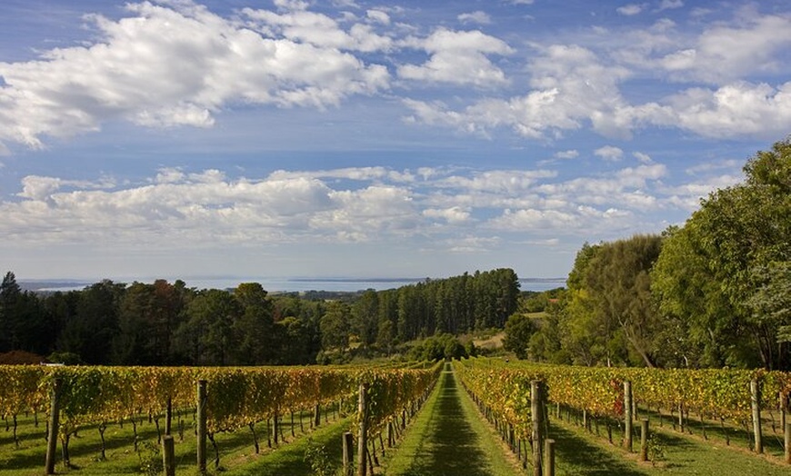 Image 2: Mornington Peninsula Wine Day Tour