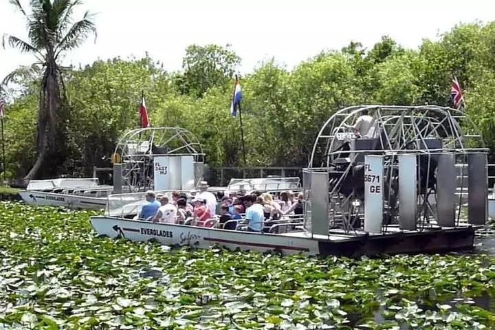 Everglades Wildlife Tour: Airboat & Alligator Habitat Experience