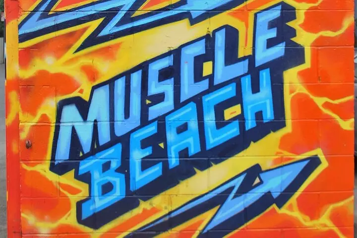 Venice Vibrations Public Bike Tour Experience