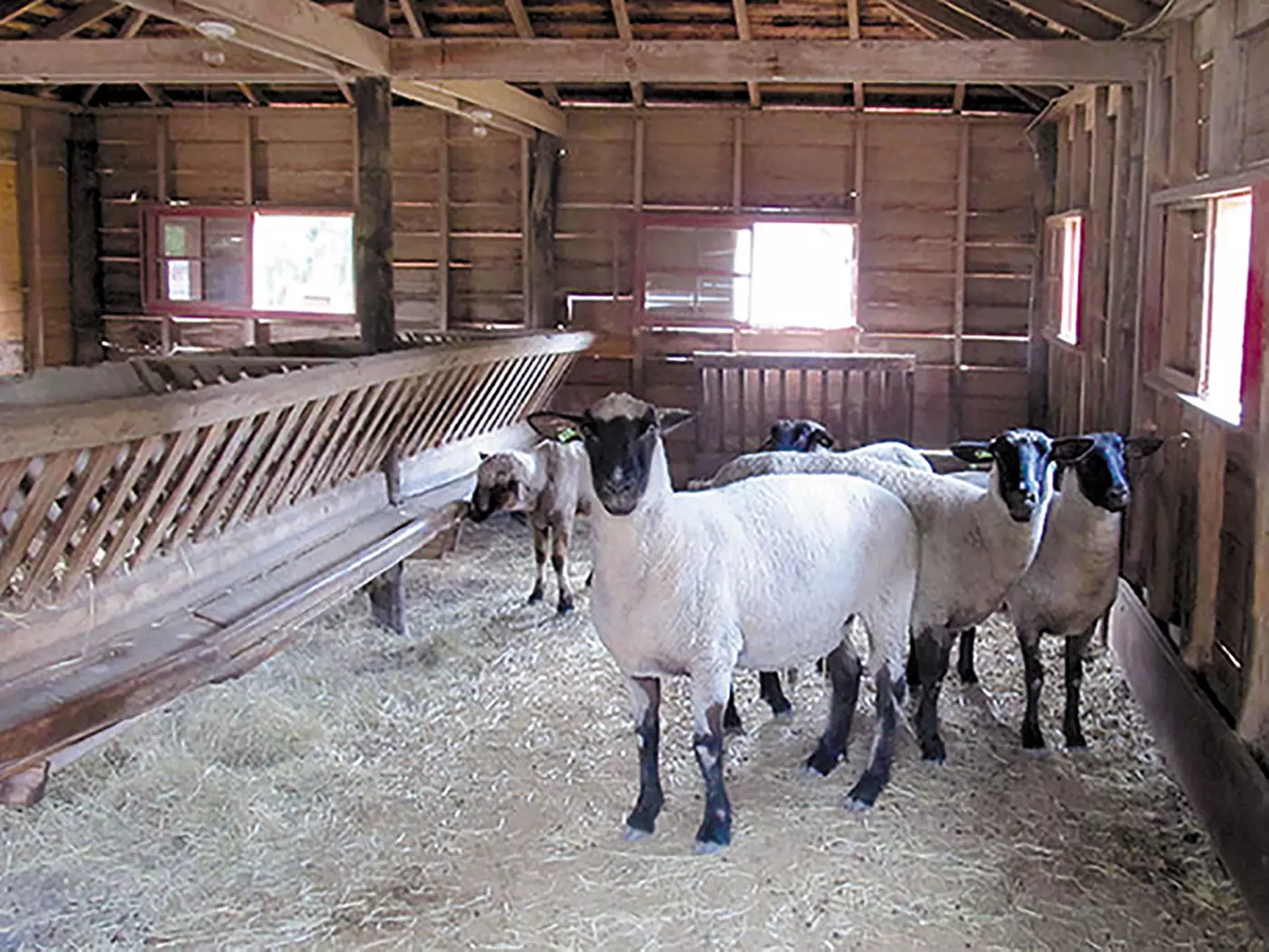$12 For A Guided House Tour For 2 Adults & 2 Children (Reg. $24) - Second Medium