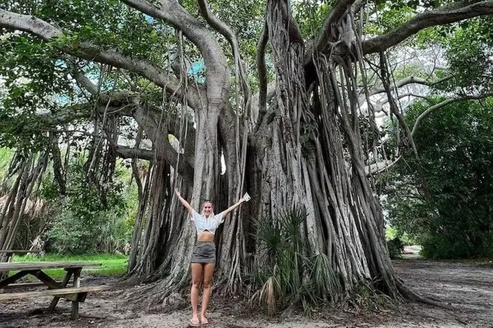 Best of Fort Lauderdale Small Group Tour with Intercoastal Cruise