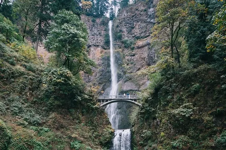 Afternoon Half-Day Multnomah Falls and Columbia River Gorge Waterfalls Tour from Portland - Primary Image