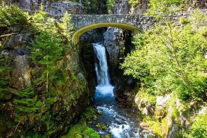 Best of Mount Rainier National Park from Seattle: All-Inclusive Sma...