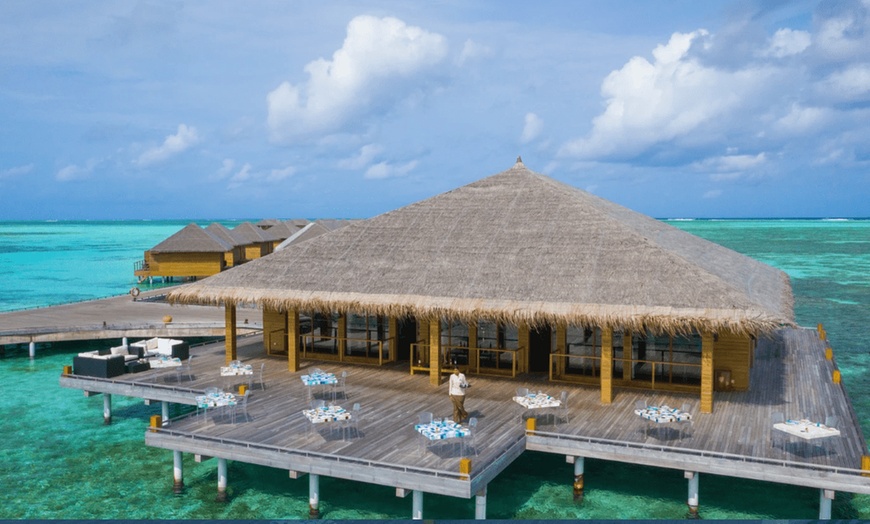 Image 17: ✈ MALDIVES | Malé - Cocoon Maldives 5* - Tout inclus