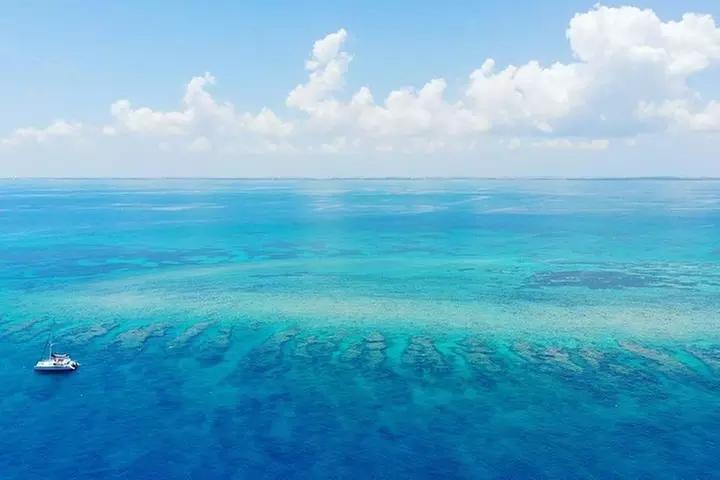 Key West 2 Reef Snorkel Tour & Sunset Cruise with Beer & Wine