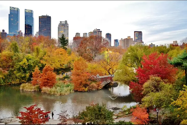 New York City Tour with Driver-Guide and Separate Guide Option