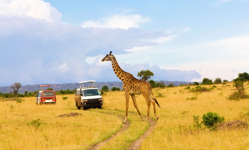 Image 2: ✈ KENIA | Diani Beach - Kombireise Leopard Beach Resort & Elefanten...