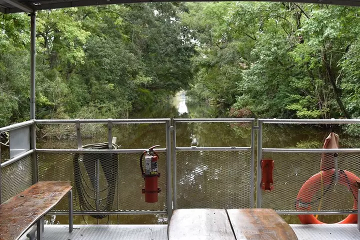 90-Minute Jean Lafitte Swamp and Bayou Tour with Transportation