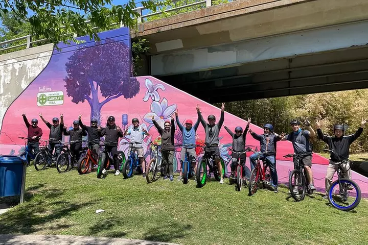 Dallas Electric Bike Rental