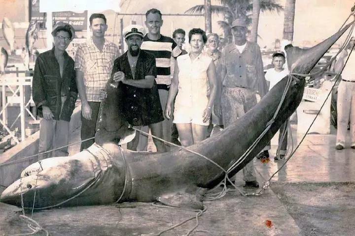 Key West 6-Hour Party Boat Fishing Trip – Affordable Reef Fishing