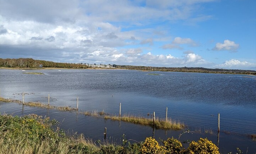 Image 3: Lymington Wildlife Discovery Walk