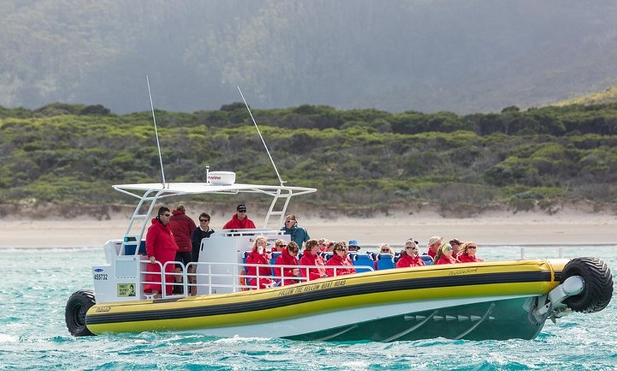 Image 8: Wilsons Promontory Wilderness Cruise from Tidal River