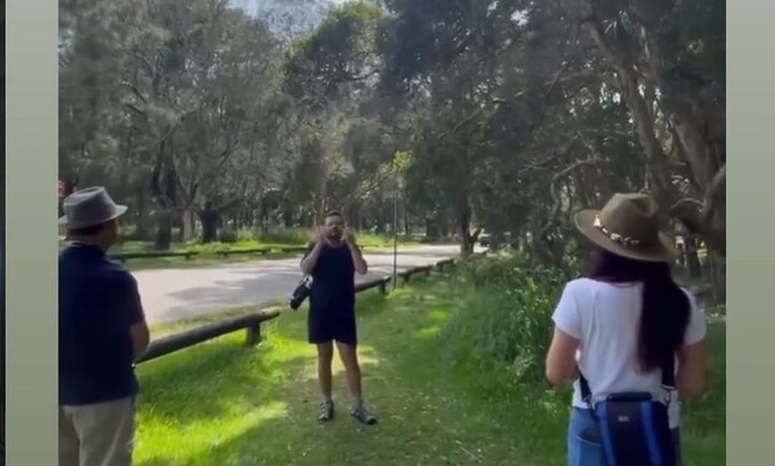 Image 40: Sydney Guided Wildlife Walk Explore Birds and Nature