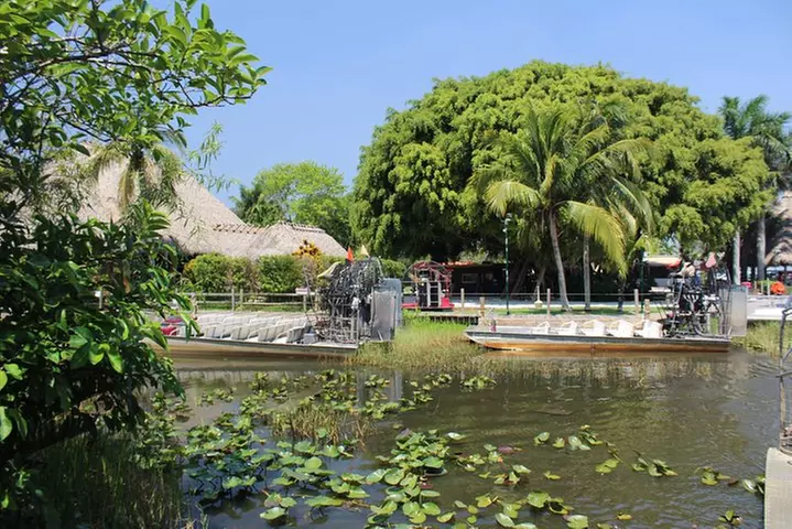 Everglades & Miami city tour with experienced guide in small group