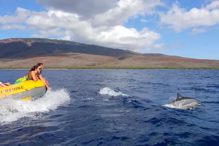 Lanai Deluxe Dolphin Adventure & 3 Snorkel Sites