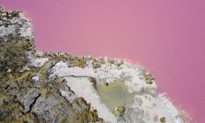 Image 6: Pink Lake Small-Group Buggy Tour