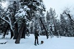 Snowshoe Tour Big Bear Lake with Hot Chocolate - Second Medium