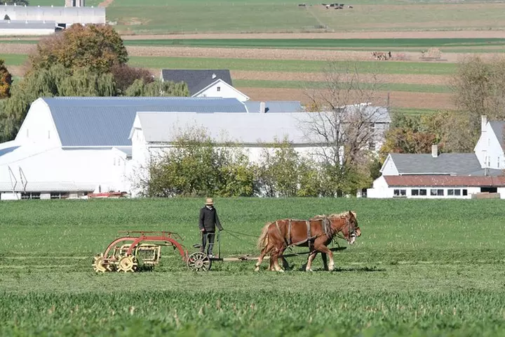 Premium Amish Country Tour including Amish Farm and House