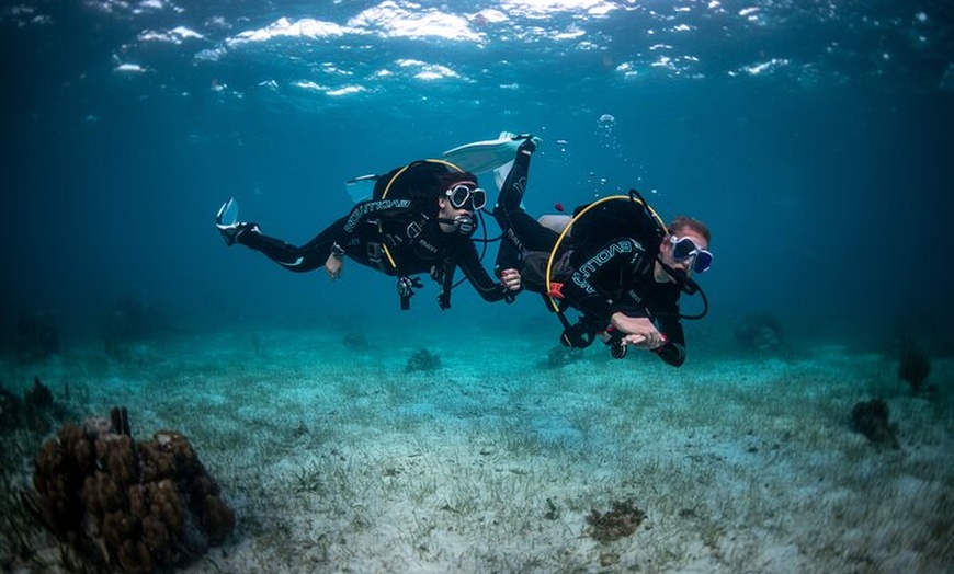 Image 12: Curso de buceo Open Water en Tenerife