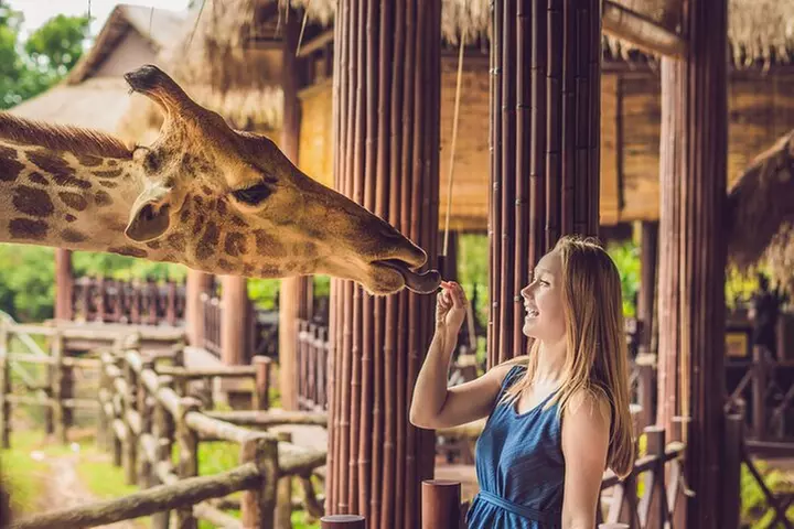 Central Park Zoo Skip-the-line Tickets & Private Transfers