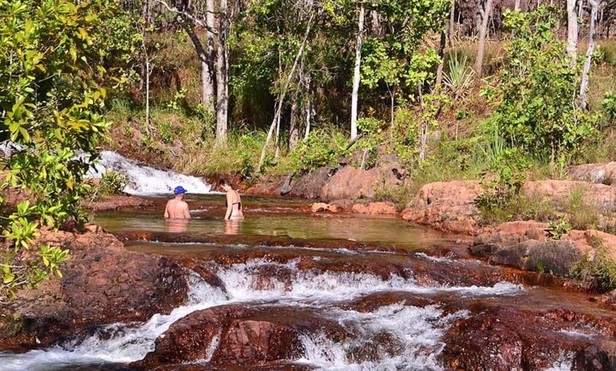 Image 11: Litchfield Day Tour from Darwin with Offroad Dreaming