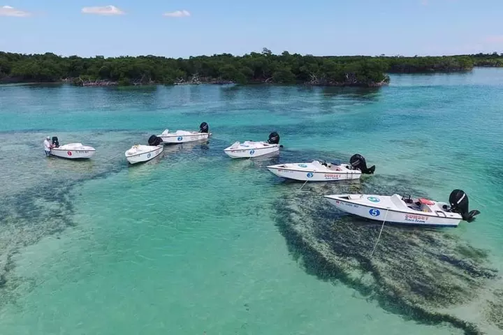 Key West Safari Eco Sandbar Tour Adventure with Snorkeling