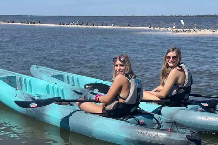 Wildlife Refuge Manatee, Dolphin & Mangrove Kayak or Paddleboarding...