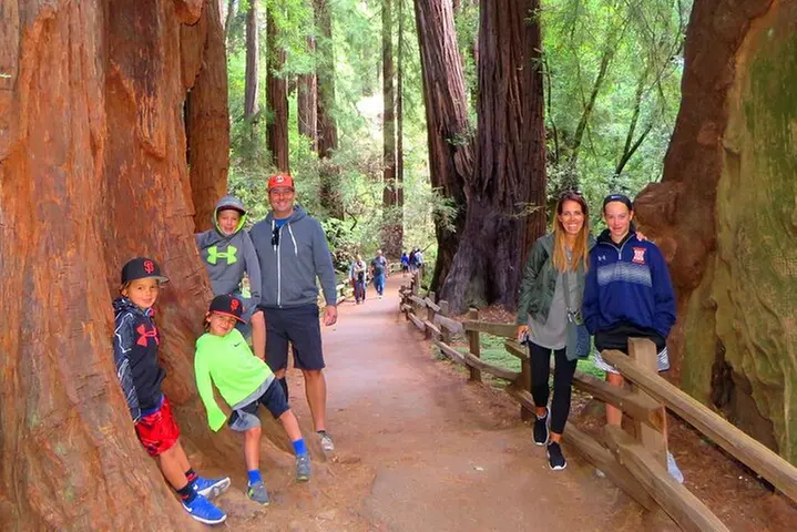 Muir Woods and California Wine Country 8 Hour Private Tour - Primary Image