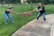 Scavenger Hunt Adventure in Eugene by Operation City Quest - Second Medium
