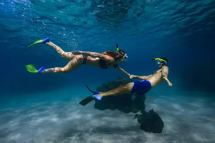 Kayak, Whale Watch, and Snorkel With Optional Photo and Video
