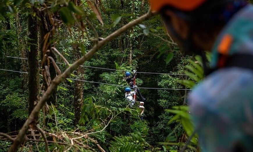 Image 2: Ziplining Cape Tribulation with Treetops Adventures