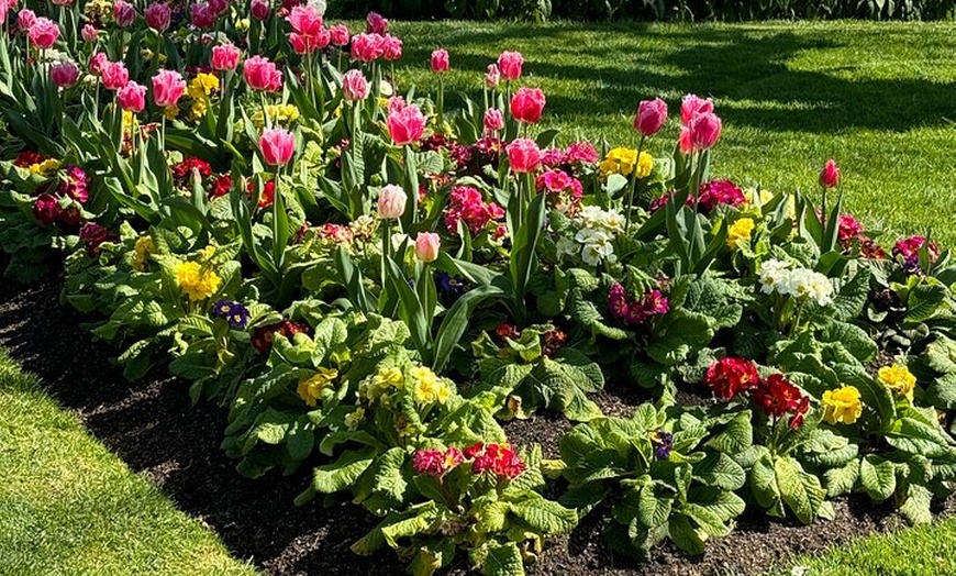 Image 6: Melbourne Private Ballarat Sovereign Hill Gold Mine Tours