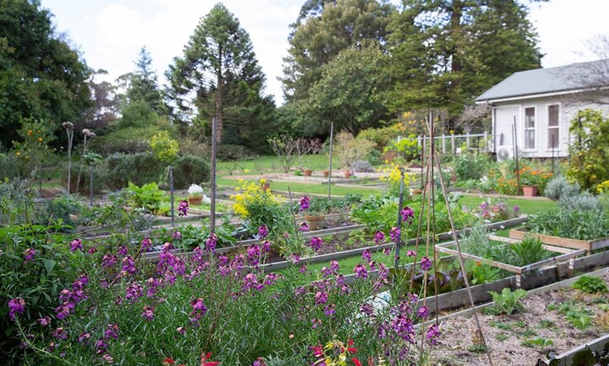 Image 3: Como House: Guided Garden Tour