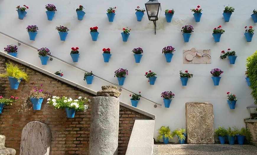 Image 7: Tour Especial Festival Patios de Córdoba