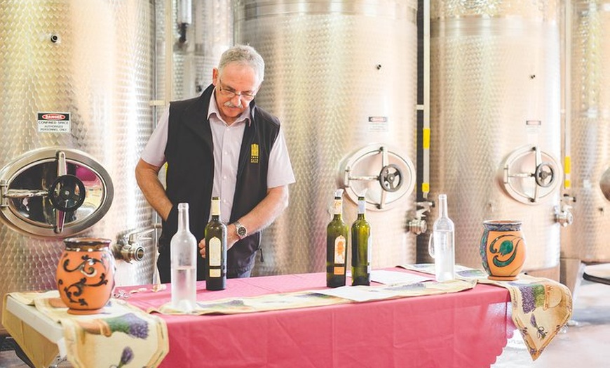 Image 2: Award-Winning Hunter Valley Wine & Cheese Tour from Sydney
