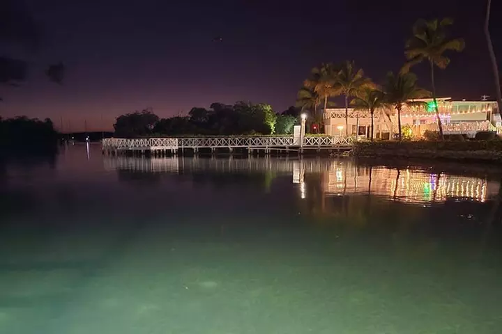 Luminous One Puerto Rico- Bio Bay Boat Ride With Swimming - Primary Image