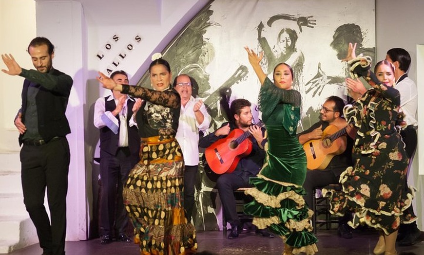 Image 4: Entrada para el espectáculo de flamenco en Los Gallos