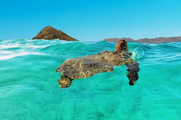 Kailua Bay, Oahu: Epic Kayak and Snorkel to Islands