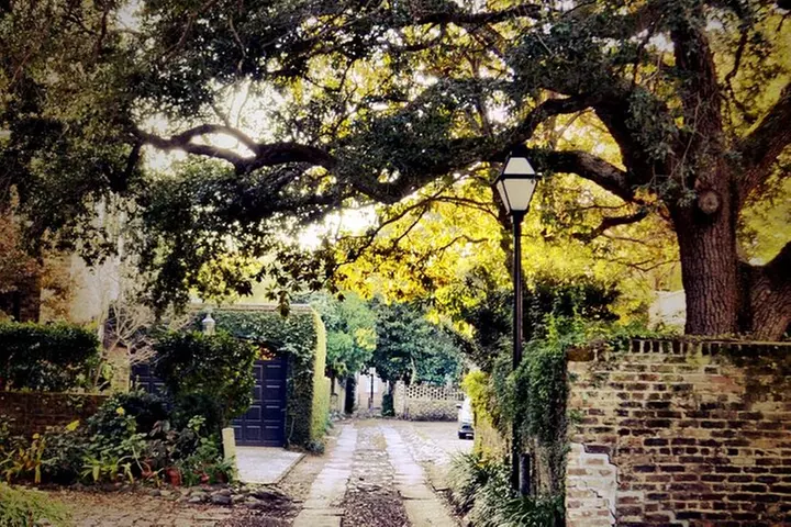 Small Group Historic Charleston walking Tour