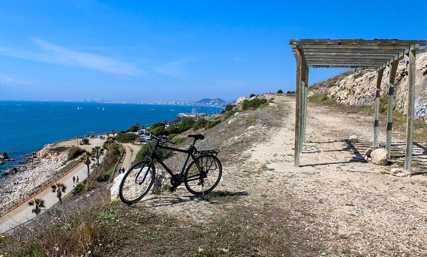 Image 2: Alquiler de bicicleta de trekking: día completo las 24 horas