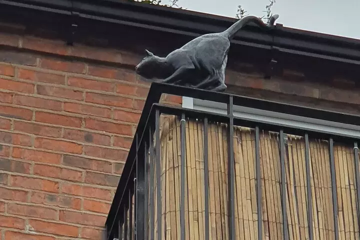 Dark Tales of York. Private ghost tours.