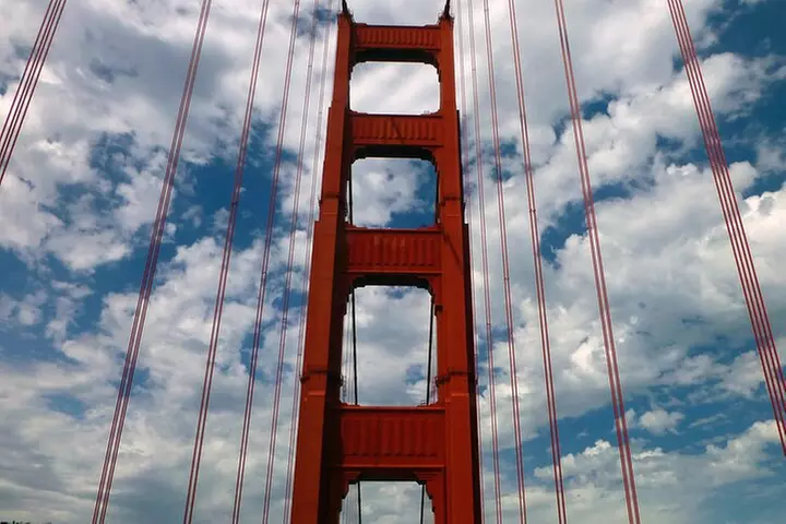 Muir Woods and Sausalito Tour (Half Day)