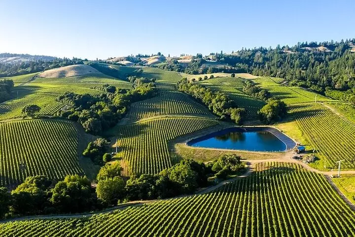 Private Enchanted Napa & Sonoma Wine Tour from Oakland - Primary Image