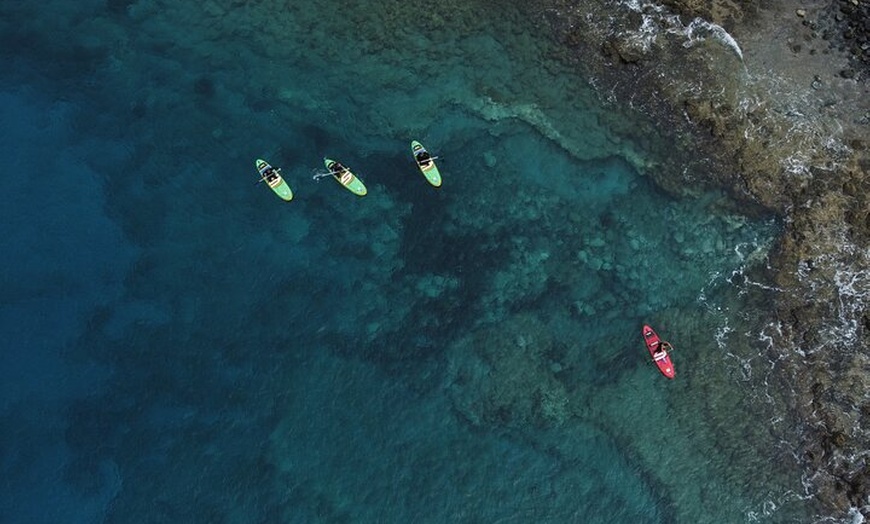 Image 10: SUP tours