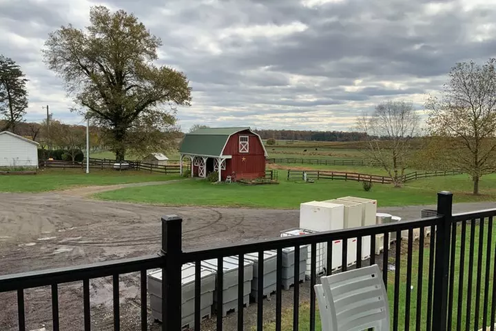 Private Loudoun County Wine Tour from DC with Stops at 3 Wineries