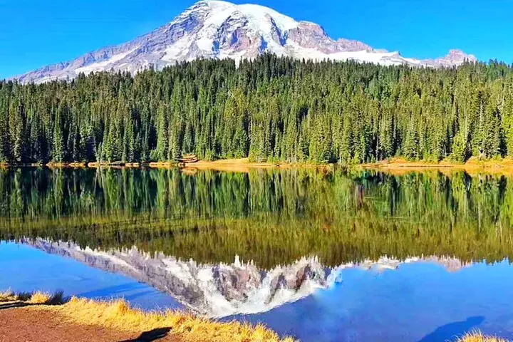 2-Day Mount Rainier & Olympic National Parks Tour from Seattle - Primary Image