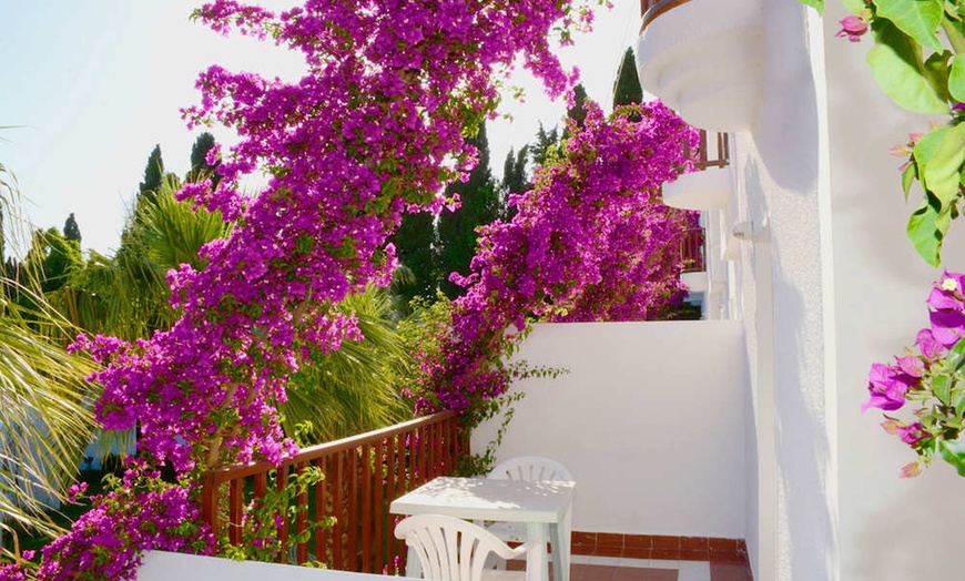 Image 11: ✈ BODRUM ET SA RÉGION | Bitez - Natur Garden Hotel 3* - Tout inclus