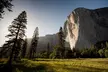 Yosemite and Kings Canyon National Park 2 Day Tour from LA - Image 7